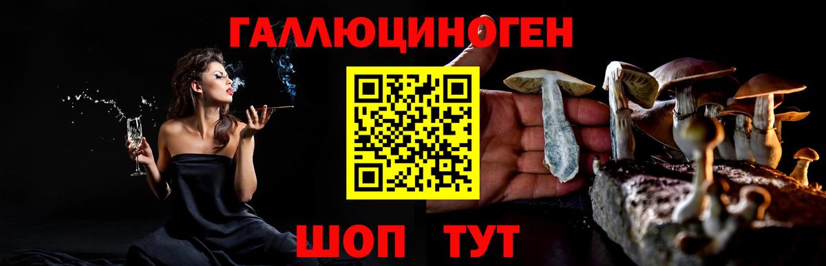 Псилоцибиновые грибы мицелий Кызыл